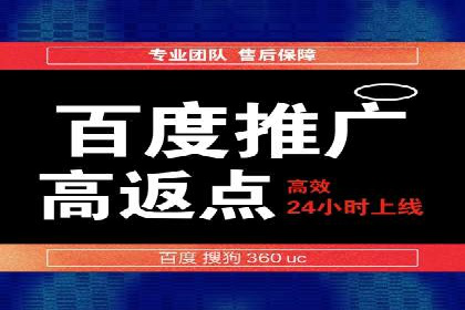 专业网站SEM托管服务案例展示